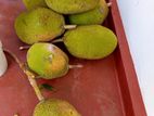 Fresh Organic Jackfruit / பலாப்பழம் –