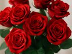 Fresh Red Roses