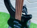 Fretless Bass Guitar