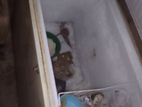 Fridge Freezer