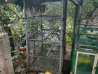 Large Bird Cage