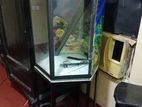 Full Sat Tank Light With Filter