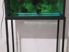 Full Set Fish Tank