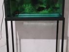 Full Set Fish Tank