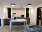 Fulley Furnished Apartment for Rent - Colombo 04