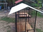 Fully Completeda Dog Cage