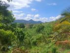 Fully Developed Income-Generating Agricultural Land for Sale in Matale