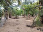 Fully Fenced 10 Acres of land for Sale at Batticaloa.