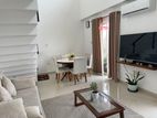 Fully Furnished Apartment Colombo 10
