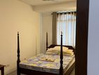 Fully Furnished Apartment for Rent Colombo 8