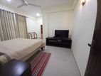 fully Furnished apartment for rent