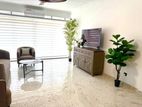 Fully furnished apartment for rent