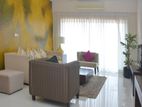Fully furnished apartment for rent