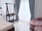 Fully Furnished Apartment For Rent In Palmyrah Avenue Colpetty