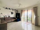 Fully Furnished Apartment for Rent in Wellawatta