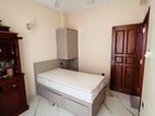 Fully Furnished Apartment for Rent in Wellawatte