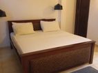 Fully Furnished Apartment For Rent Mountlavinia