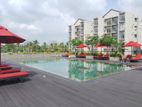 Fully furnished apartments for Rent in Malabe - Elixia