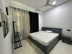 Fully Furnished Brand New house rent in Negombo