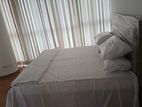 FULLY FURNISHED EMPEROR APARTMENT FOR RENT COLOMBO 3 CH2815
