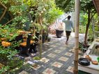 Fully Furnished House for Rent in Wennappuwa