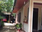Fully Furnished House for Sale Alawathugoda