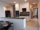Fully Furnished Luxary Apartment For Rent in Colombo 7 - EA845