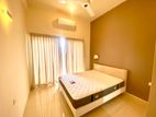 Fully Furnished Luxury Brand New Three Bedroom Apartment-Rent Colombo 5