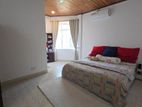 fully furnished luxury house for rent in Dehiwela