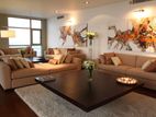 Fully-Furnished Penthouse Apartment for Sale in Empire Residencies