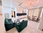 Fully Furnished Semi Luxury Apartment for Rent in Wellawatta