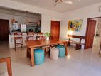 fully furnished spacious apartment for rent