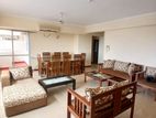 Fully Furnished Species Apartment for Rent Colombo 07