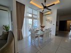 Fully Furnished Super Luxury Apartment For Rent in Mount Lavinia