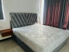 FULLY FURNISHED TRI-ZEN APARTMENT FOR RENT COLOMBO 2 CHI2621
