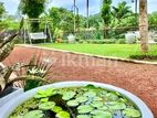 Fully Furnished villa for Rent in Kalutara