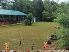 Fully Operational Nature Resort Tea Estate for Sale in Kalawana