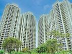 Furnished 4BHK Apartment for Rent at Havelock City