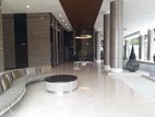 Furnished 4BR PENTHOUSE in 7TH SENSE Colombo 7 For Rent