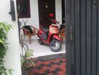 Furnished Annex Rent Ja Ela