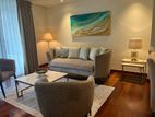 Furnished Apartment for rent at Cinnamon Life