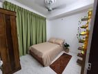 furnished apartment for rent in bambalapitiya