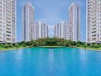 Furnished Apartment for Rent in Havelock city, Elibank Tower (C7-10194)