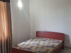 Furnished Apartment for Rent in Wattala Junction