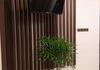 Furnished Apartment/Hotel Building For Rent In Charles Circus Colombo 3