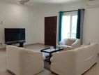 Furnished House in Colombo 6 Galle Road Pet Friendly for Rent