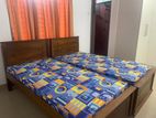 Furnished Rooms Accommodation Rent Ratmalana