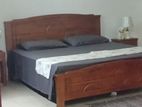 Furnished Single Bedroom Private Apartment for Rent in Rajagiriya