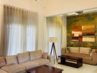 Furnished Single Storey House for Rent in Thalawathugoda