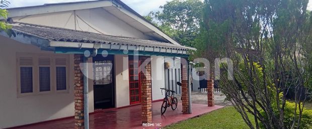 Furnitured Single Storey Red Floor House for Rent Mount Lavinia, Colombo
